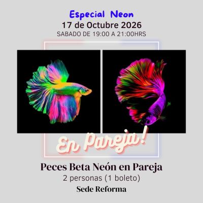 Peces Beta Neón en Pareja