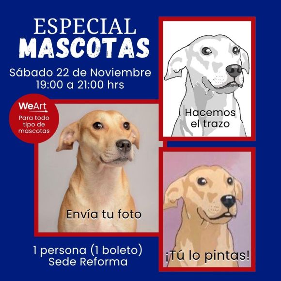 Especial Mascotas Noviembre